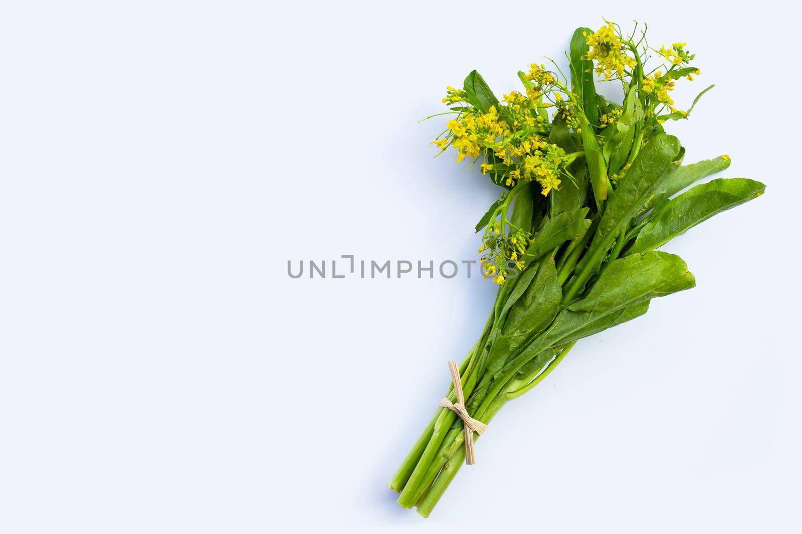 Choy Sum on white background. Copy space