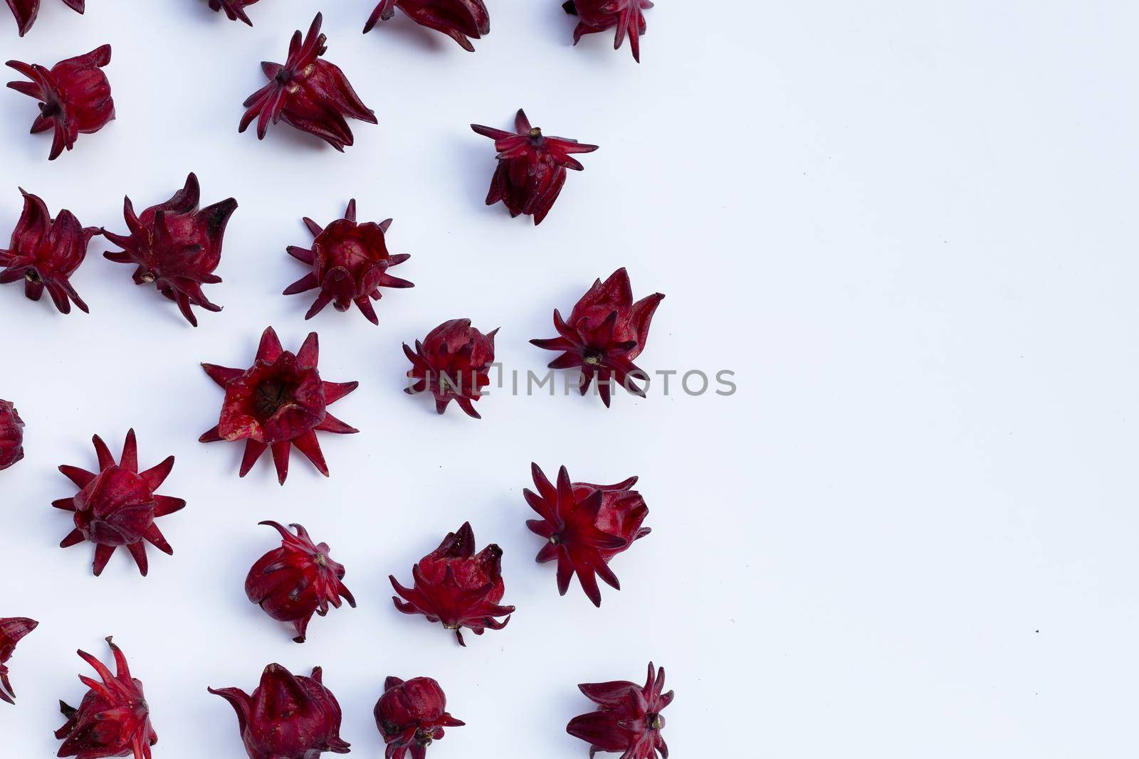 Roselle flower isolated on white background.