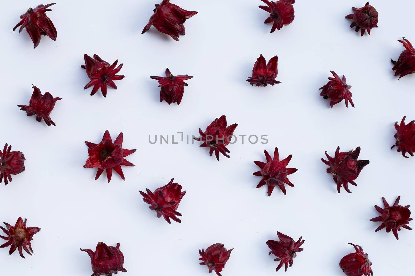 Roselle flower isolated on white background.