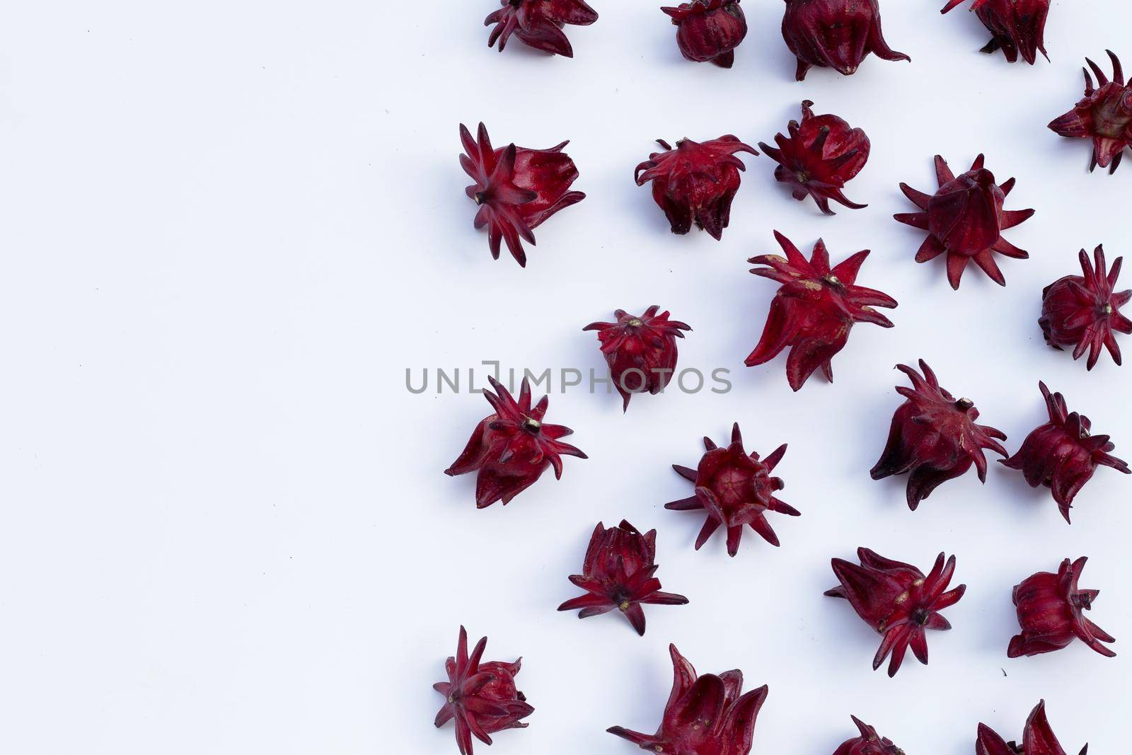 Roselle flower isolated on white background.