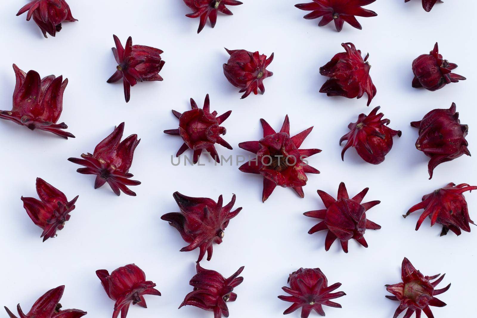 Roselle flower isolated on white background.