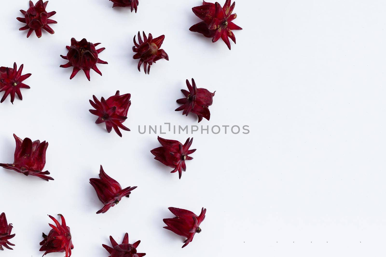 Roselle flower isolated on white background.