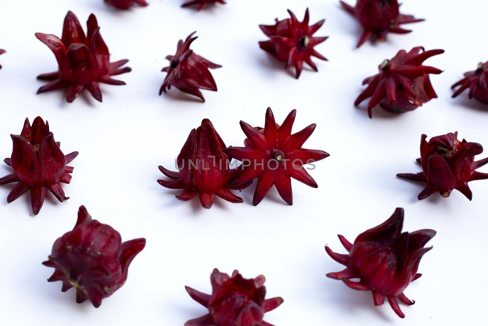Roselle flower isolated on white background.