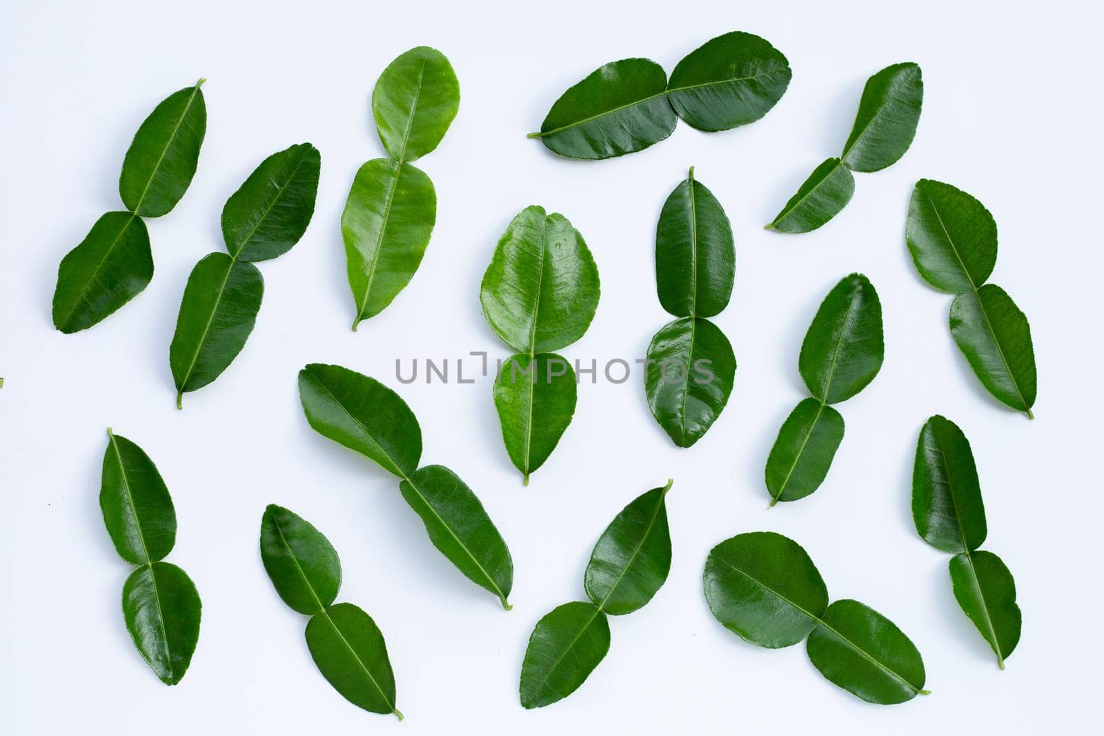 Bergamot kaffir lime leaves herb fresh ingredient isolated on white background.
