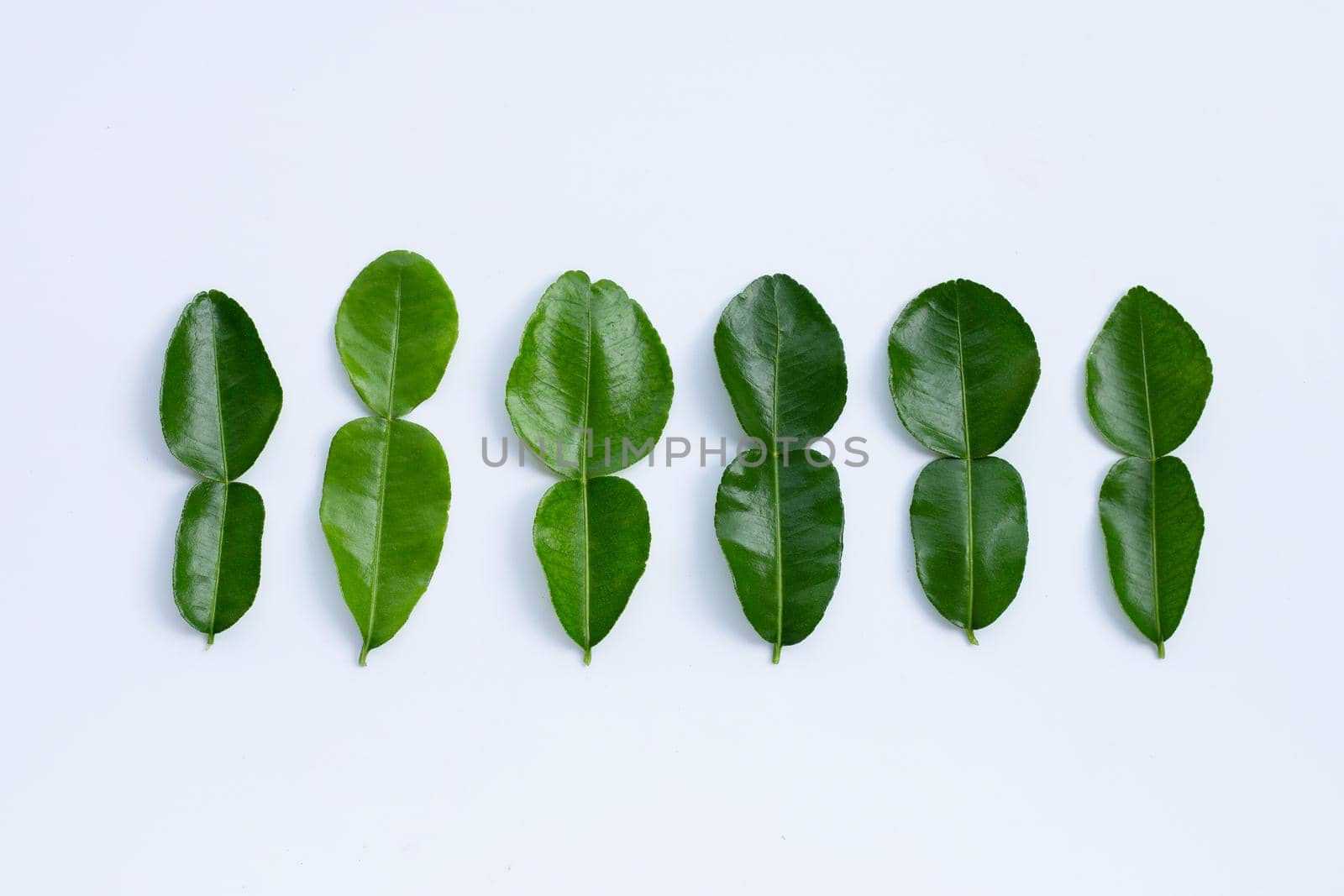 Bergamot kaffir lime leaves herb fresh ingredient isolated on white background.