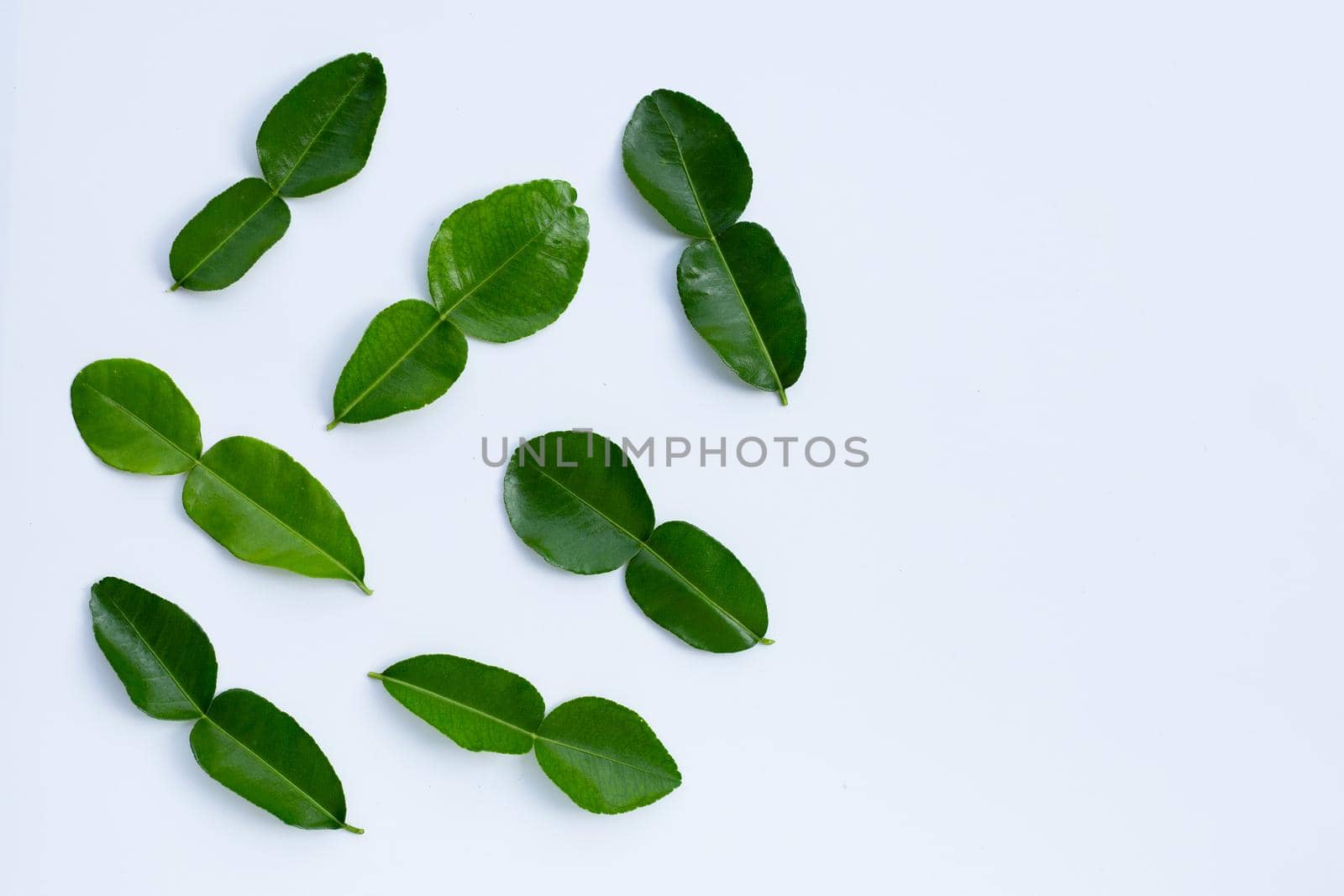 Bergamot kaffir lime leaves herb fresh ingredient isolated on white background.