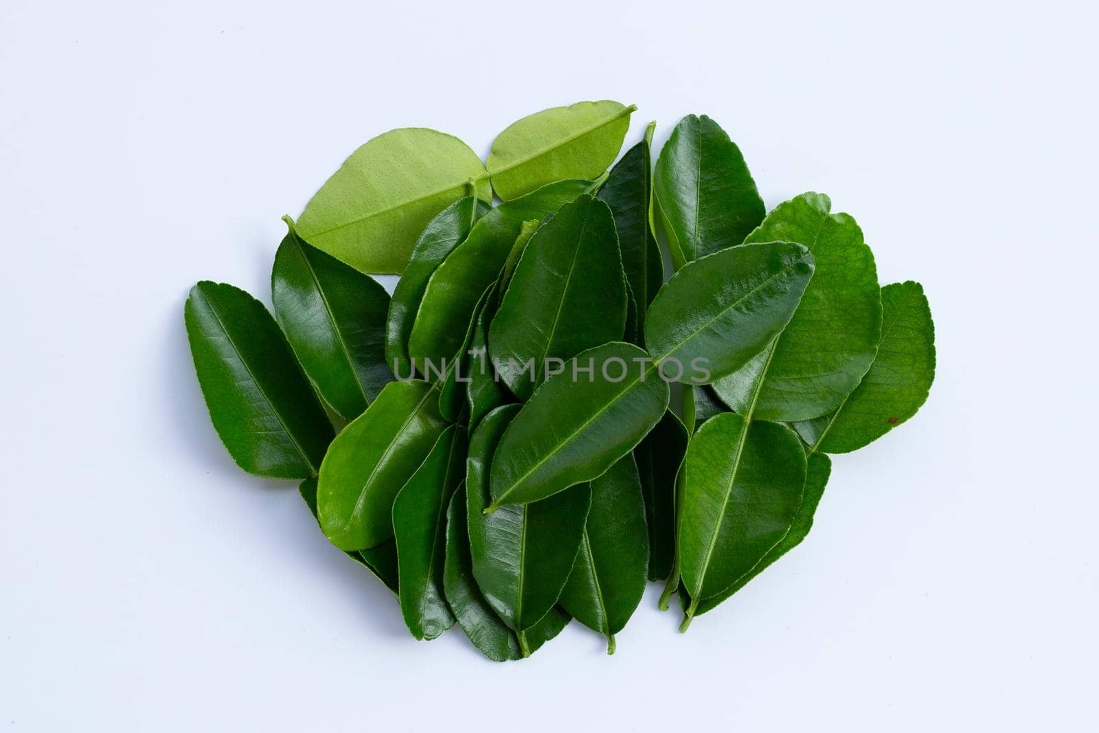 Bergamot kaffir lime leaves herb fresh ingredient isolated on white background.