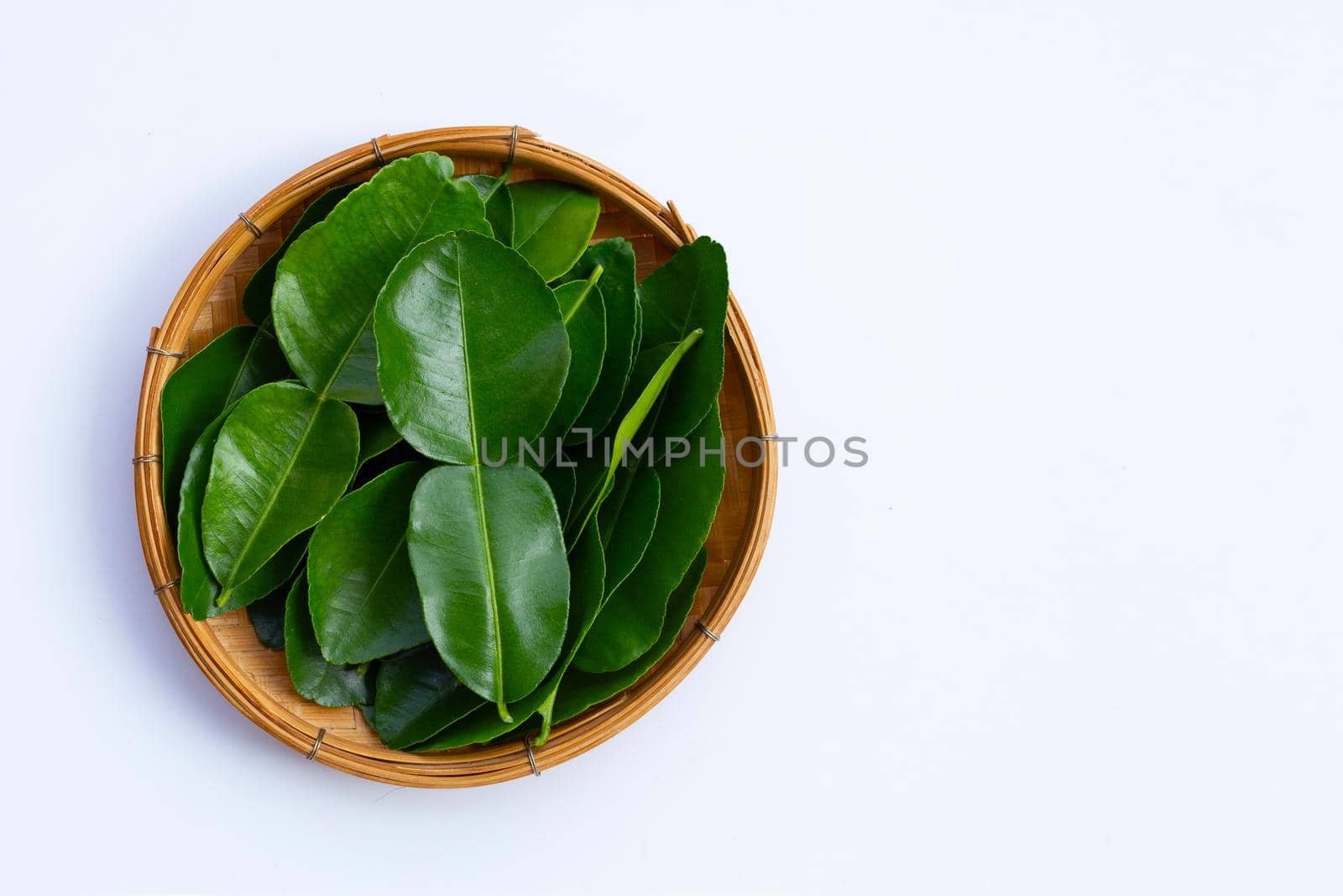 Bergamot kaffir lime leaves herb fresh ingredient isolated on white background.
