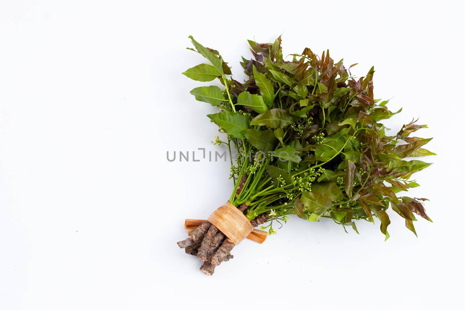 Neem leaves and flowers on wihte background.