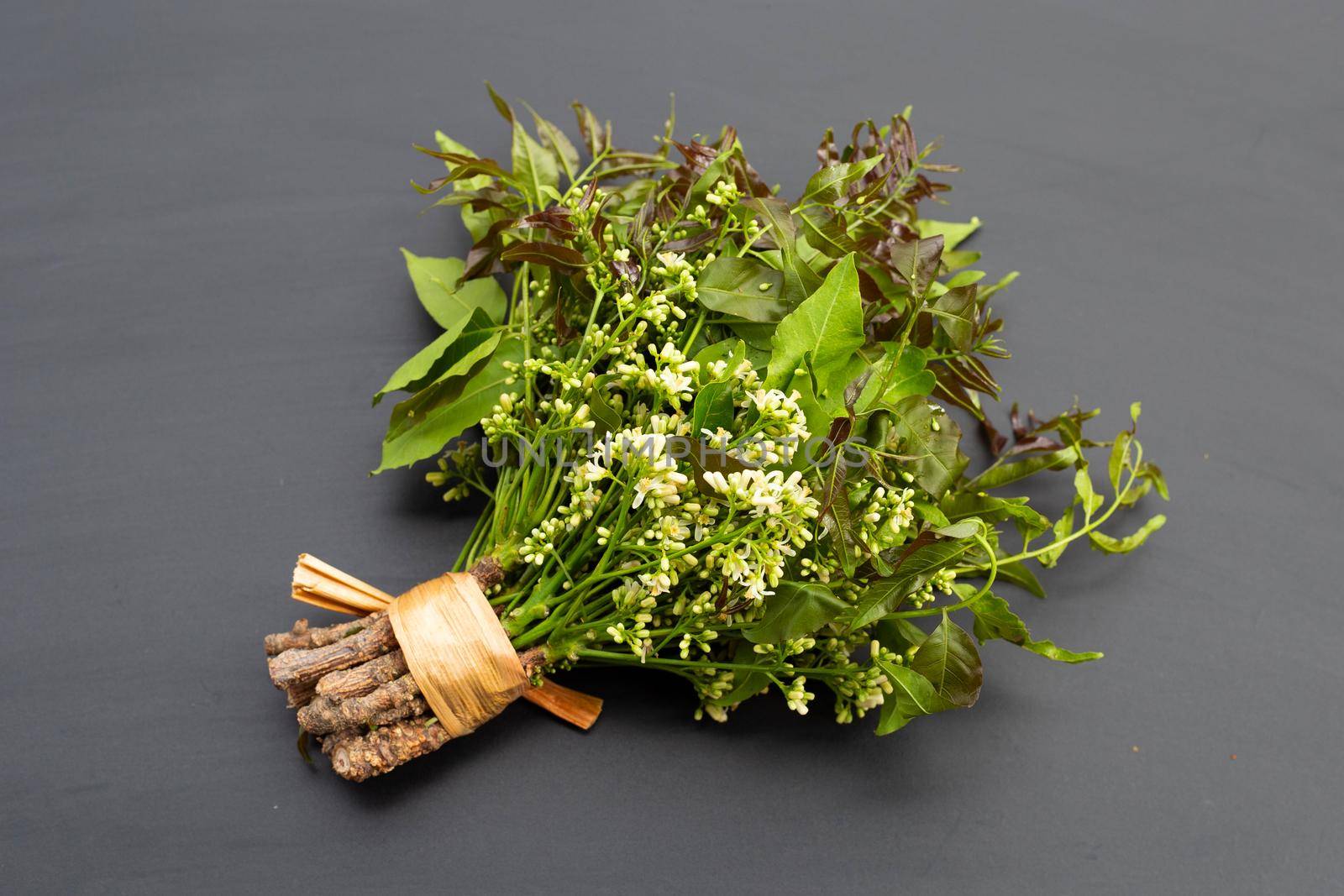 Neem leaves and flowers on dark background.