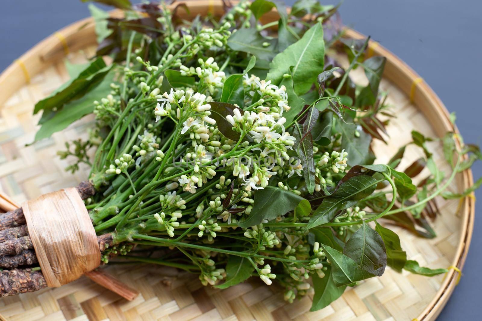 Neem leaves and flowers on dark background.