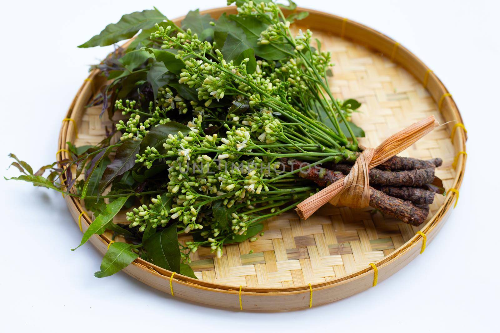 Neem leaves and flowers on wihte background.