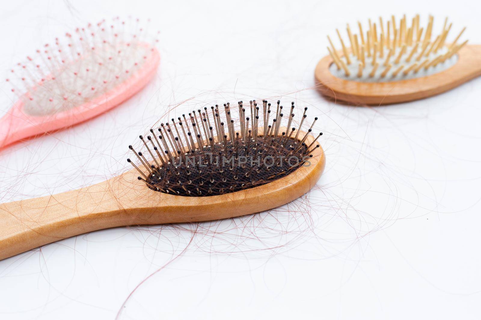 Hairs loss fall in combs on white background.