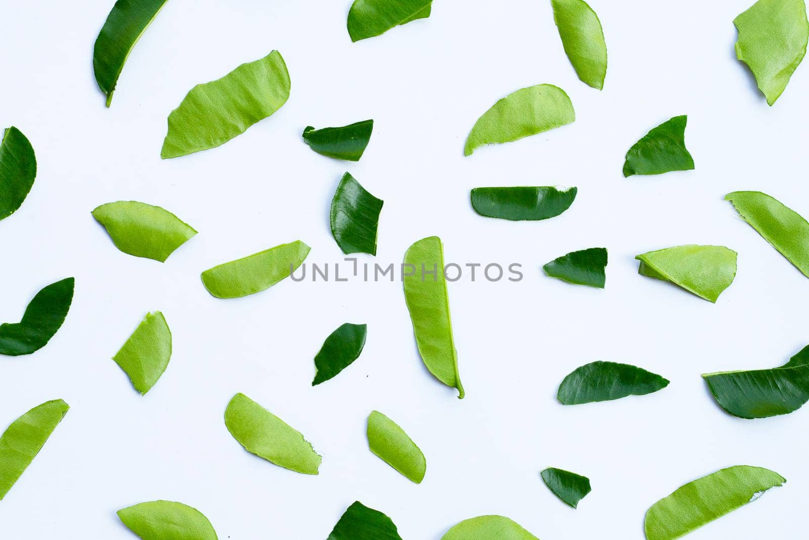 Bergamot kaffir lime leaves herb fresh ingredient isolated on white background.
