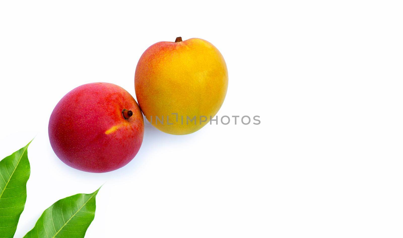 Tropical fruit, Mango  on white background.