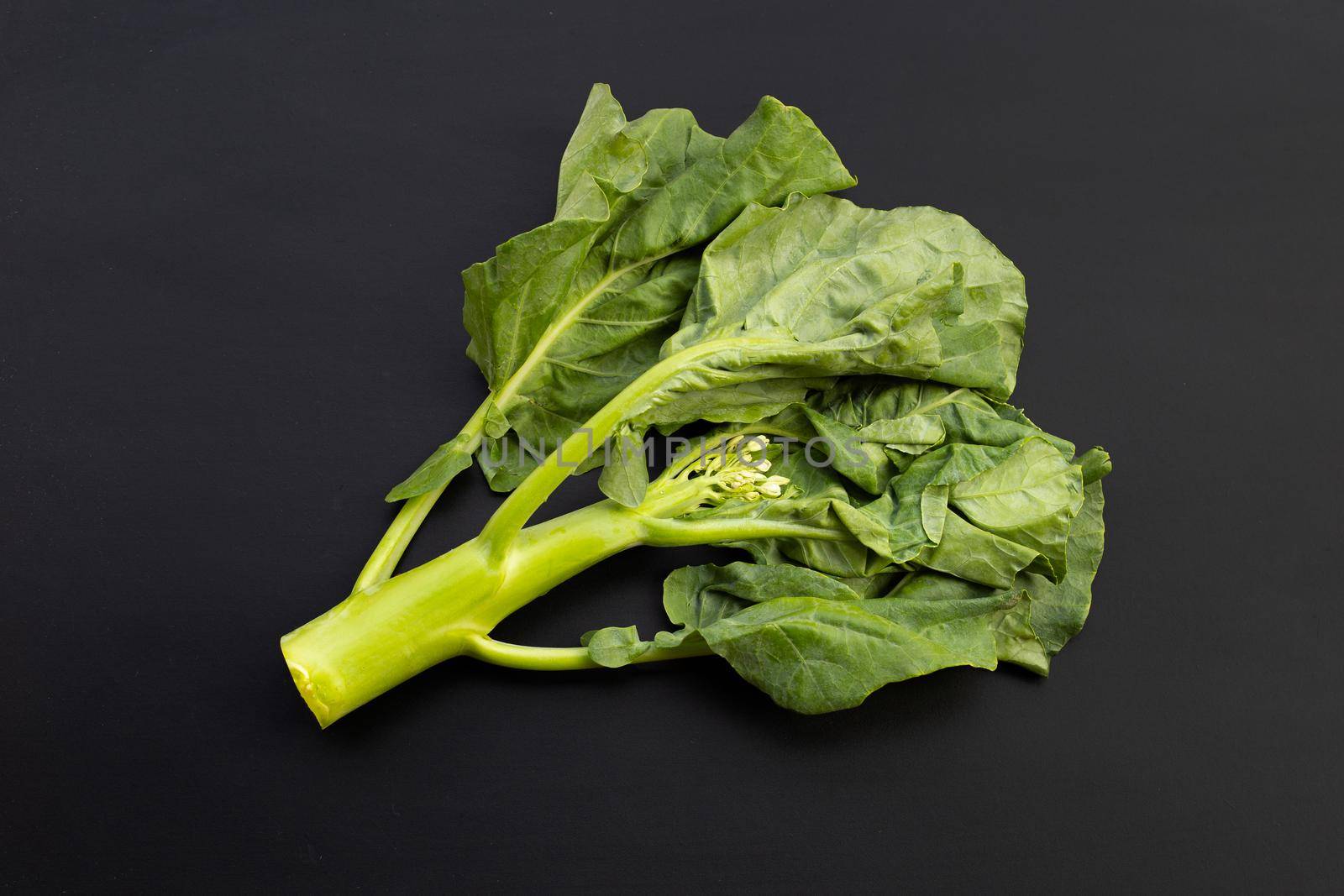 Chinese kale or Kailaan or Hong Kong kale on dark background.