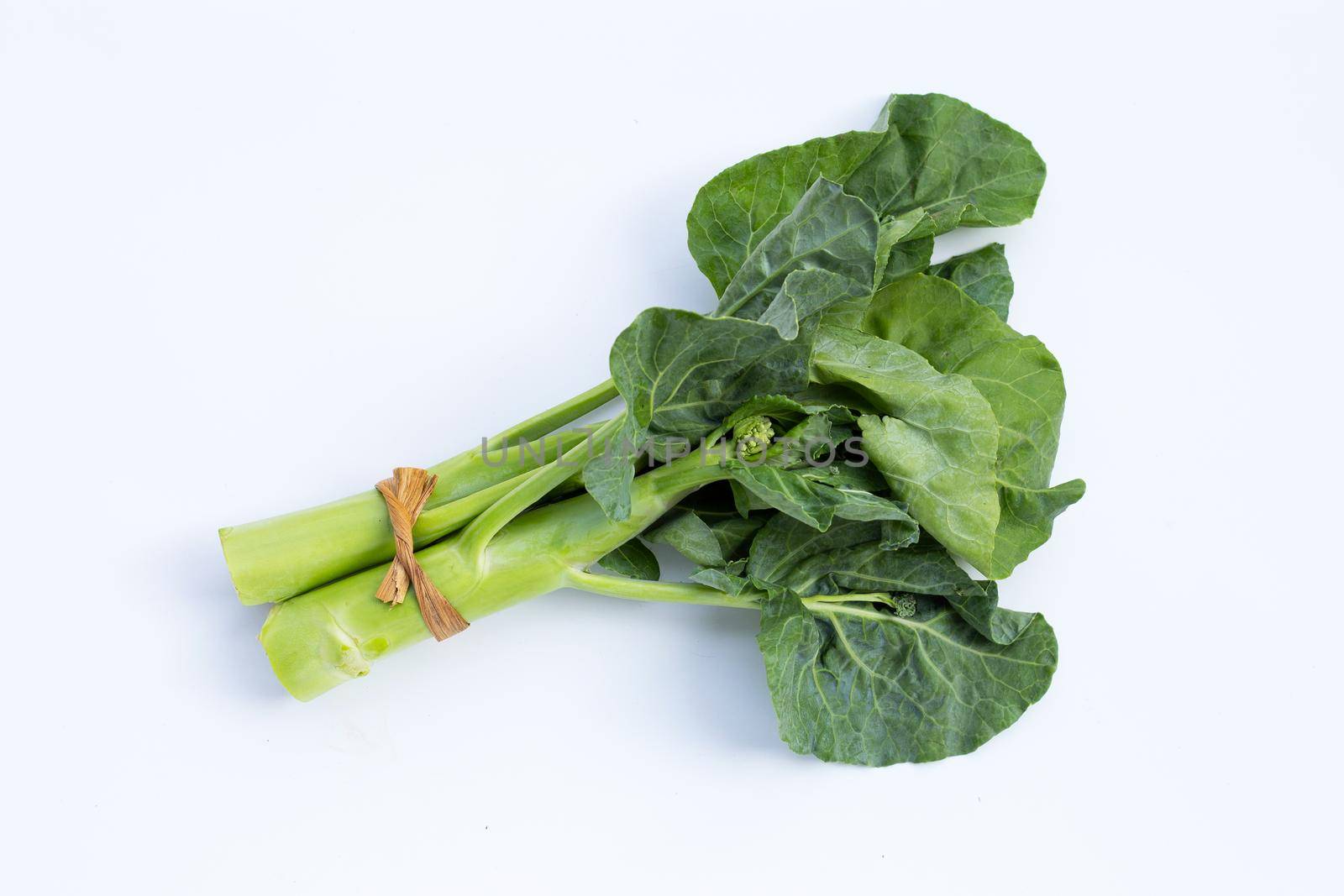 Chinese kale or Kailaan or Hong Kong kale on white background.