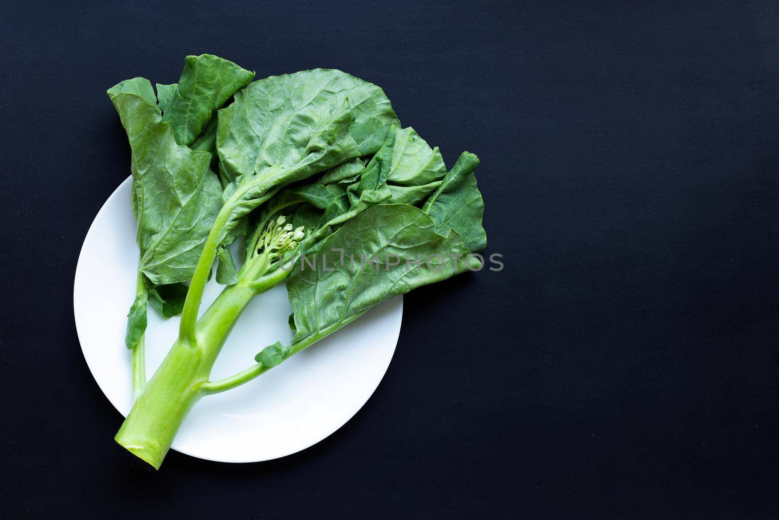 Chinese kale or Kailaan or Hong Kong kale on dark background.