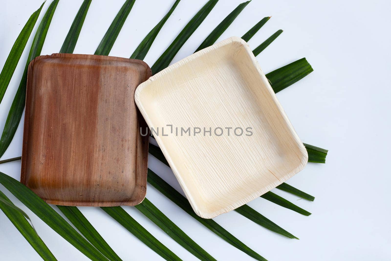 Betel palm leaf plates on white background.