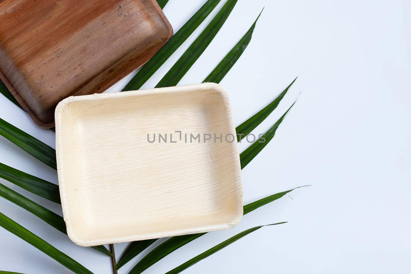 Betel palm leaf plates on white background.