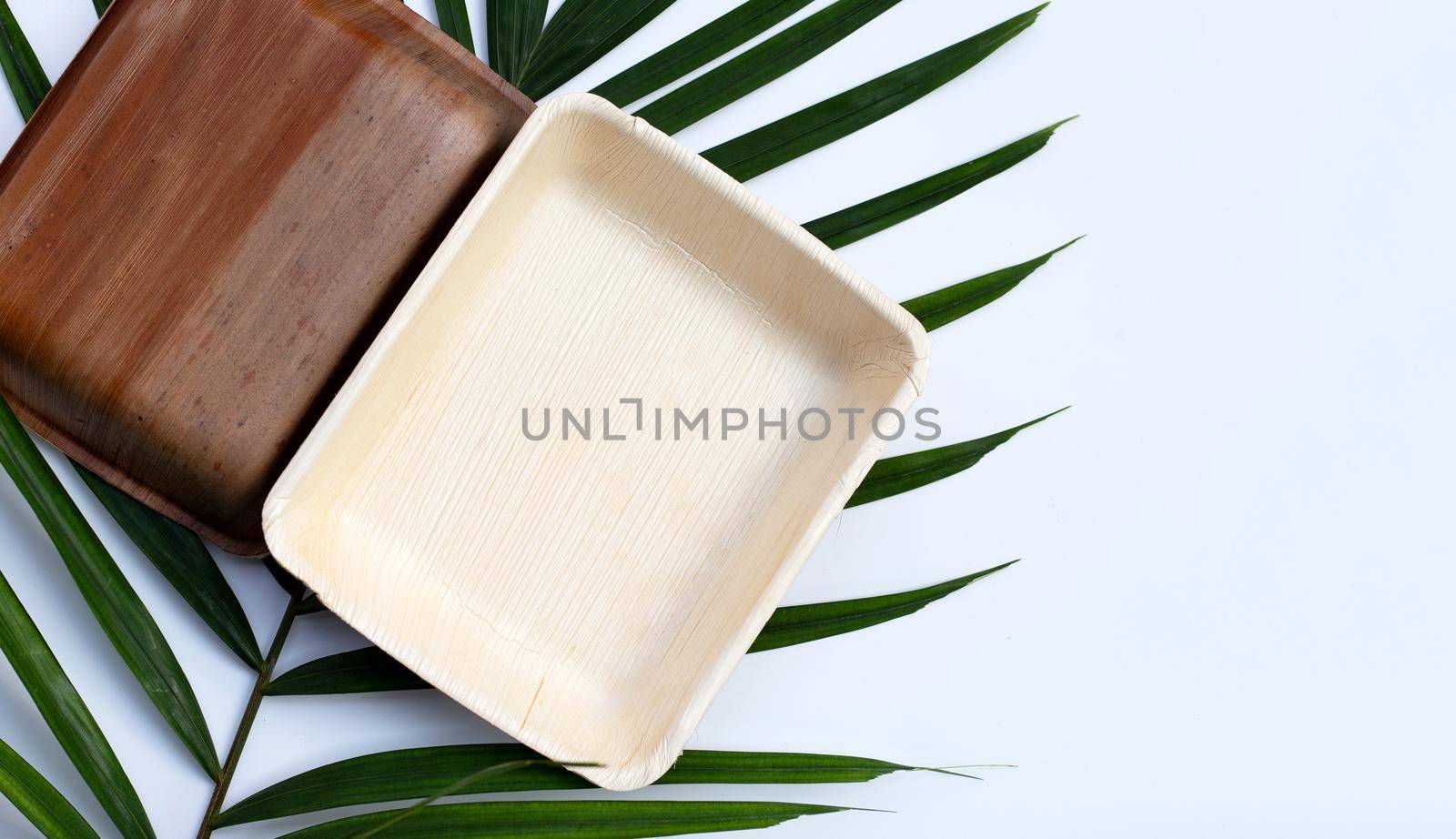 Betel palm leaf plates on white background.