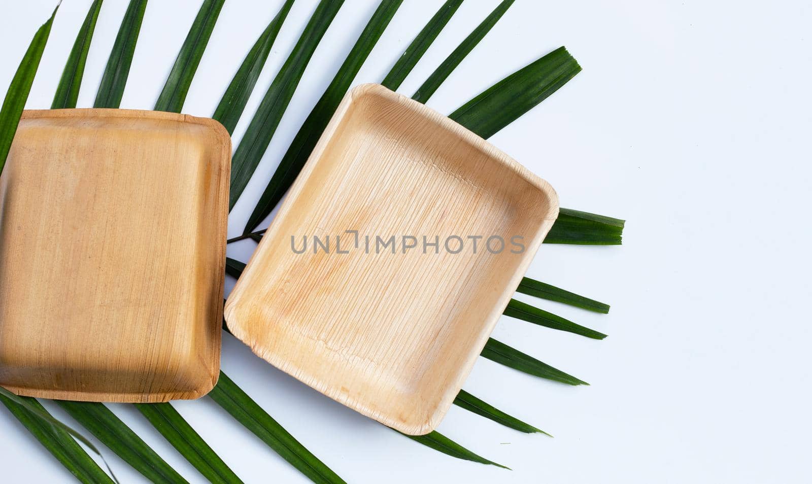Betel palm leaf plates on white background.