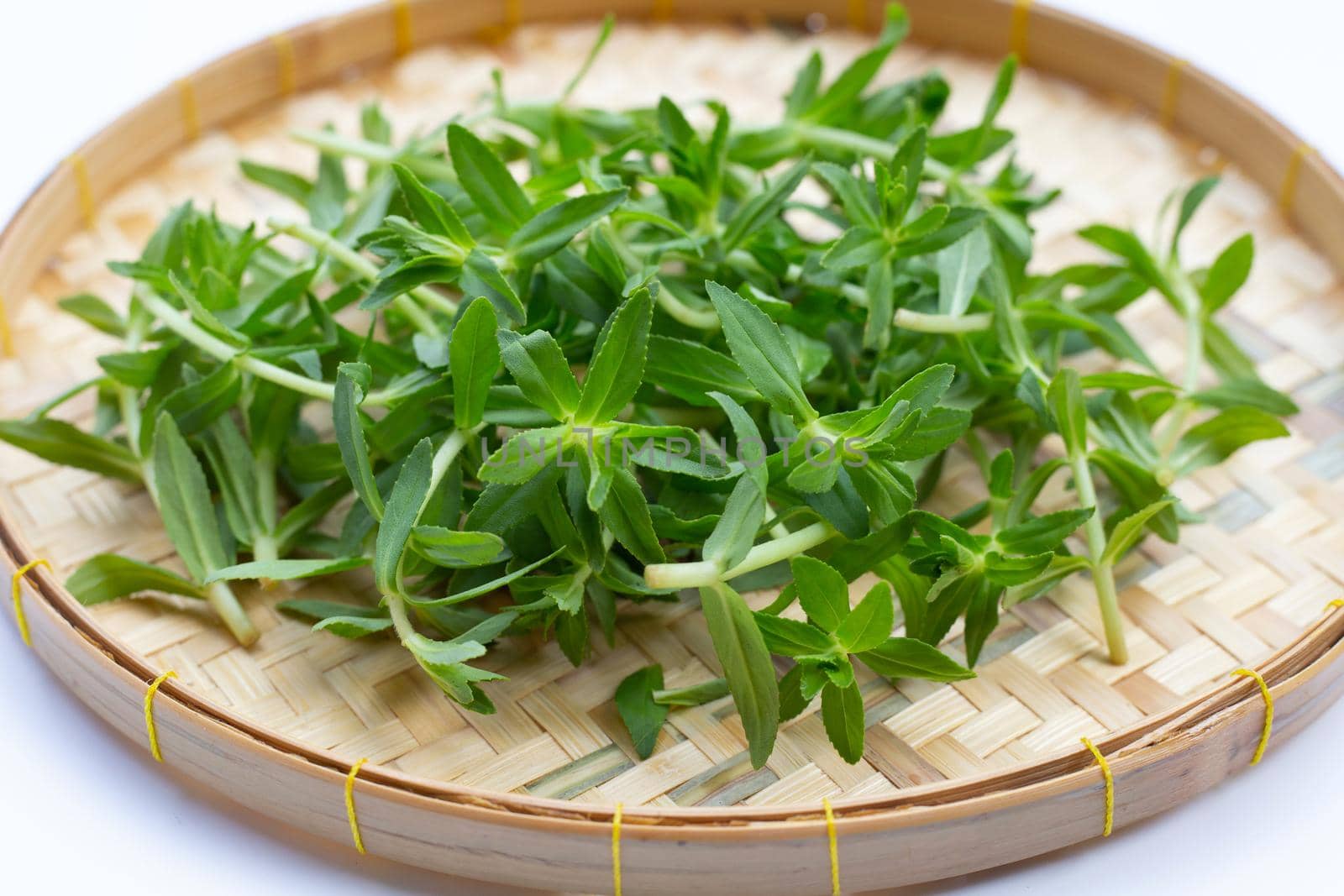 Fresh paddy rice herb in basket on white background.