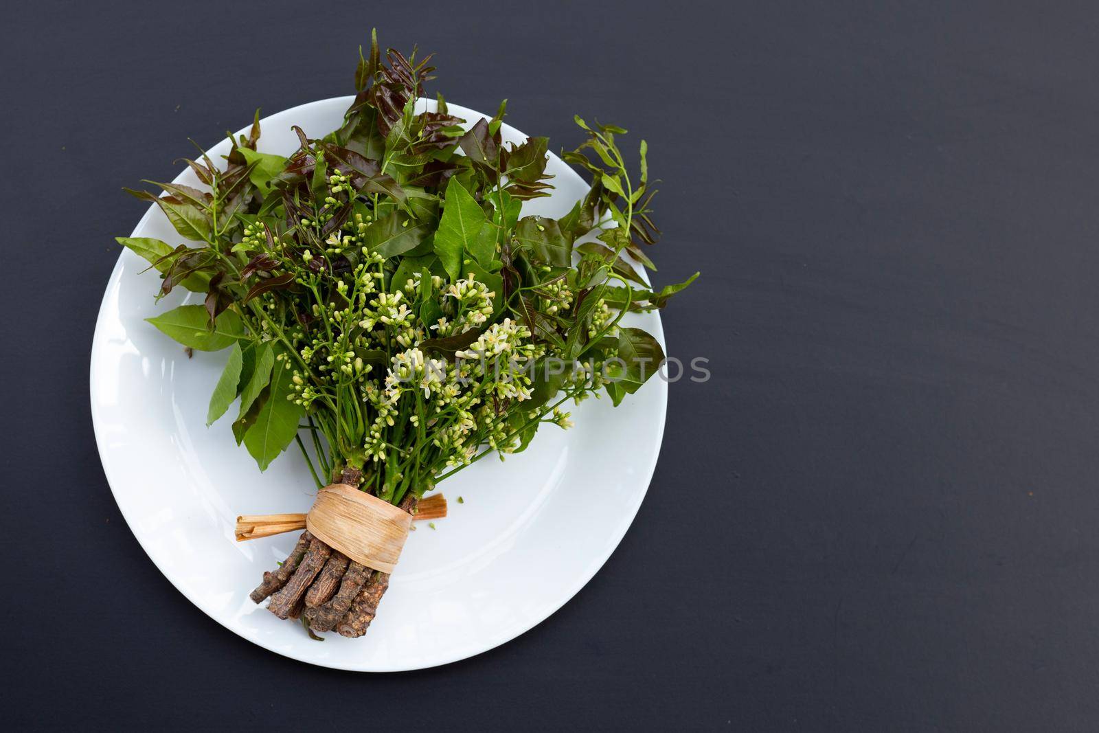 Neem leaves and flowers on dark background.