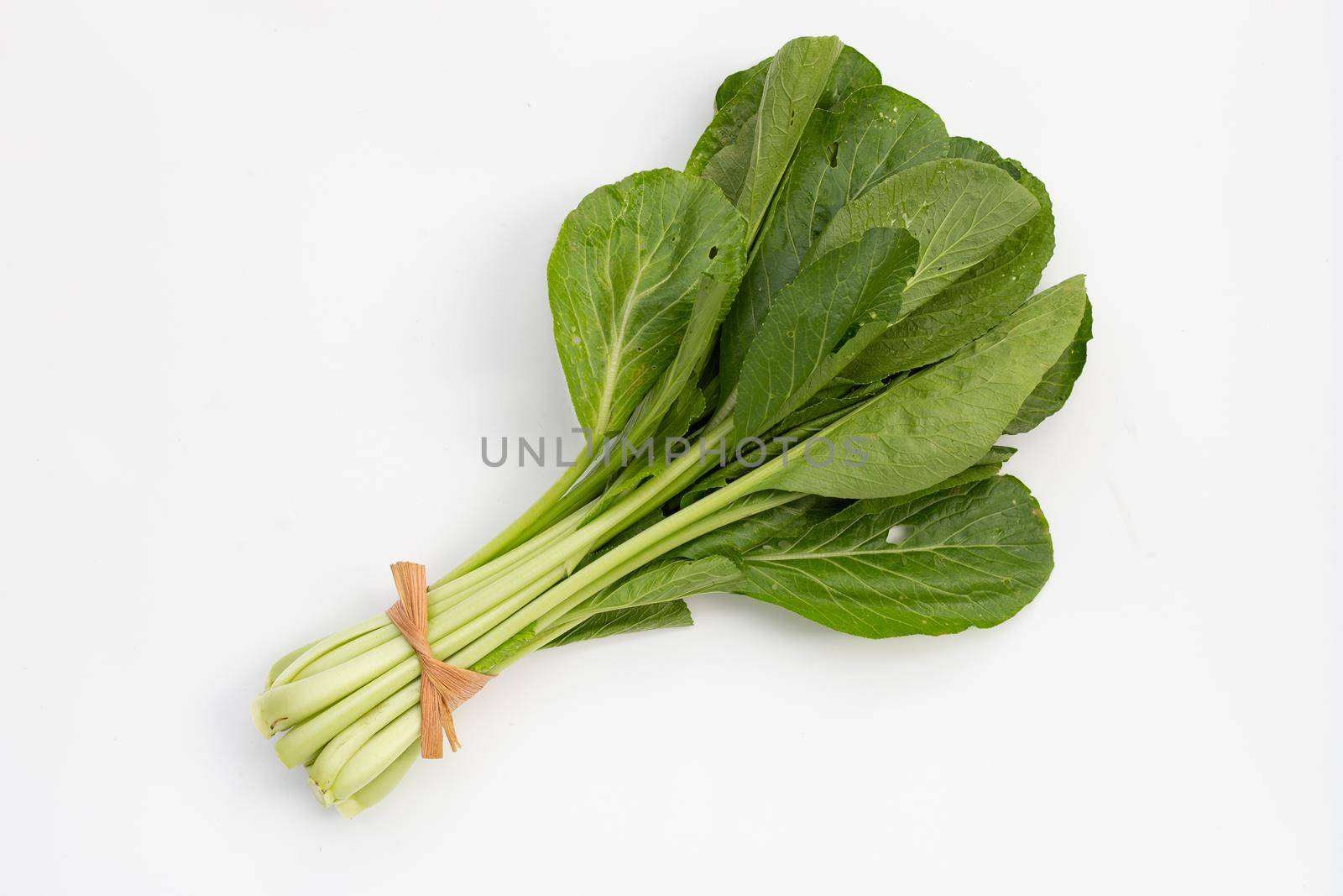 Choy Sum on white background. Copy space