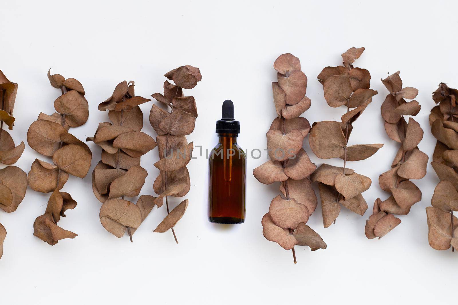 Eucalyptus dry leaves with essential oil bottle on white background.