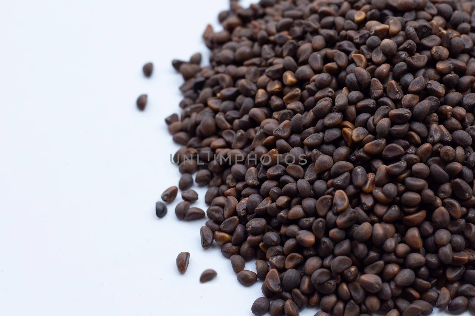 Black seed of morning glory