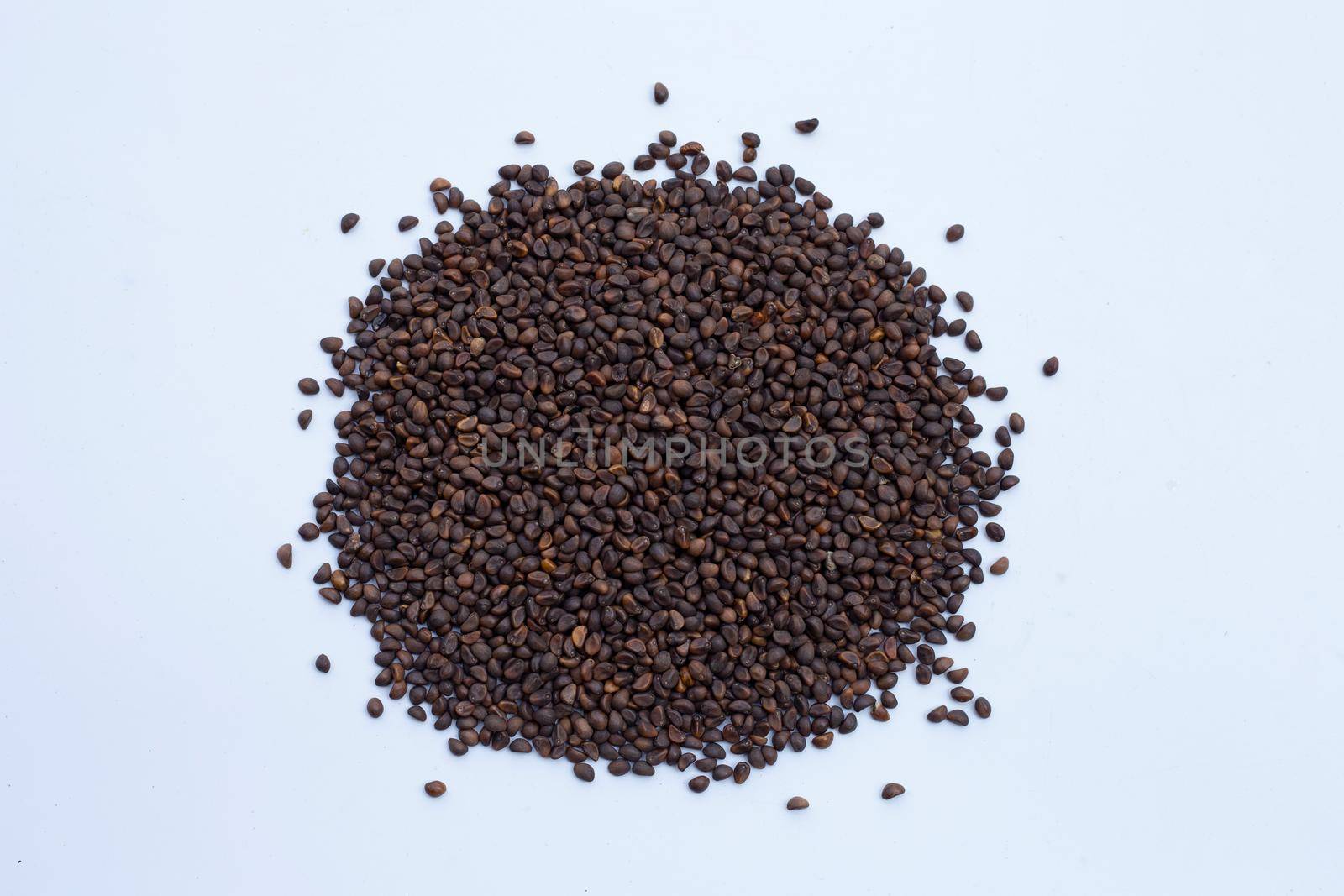 Black seed of morning glory