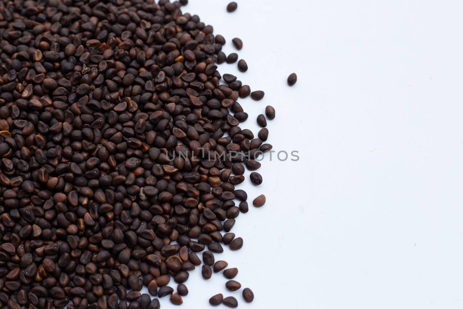 Black seed of morning glory