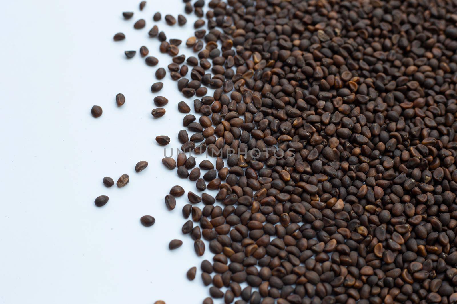 Black seed of morning glory