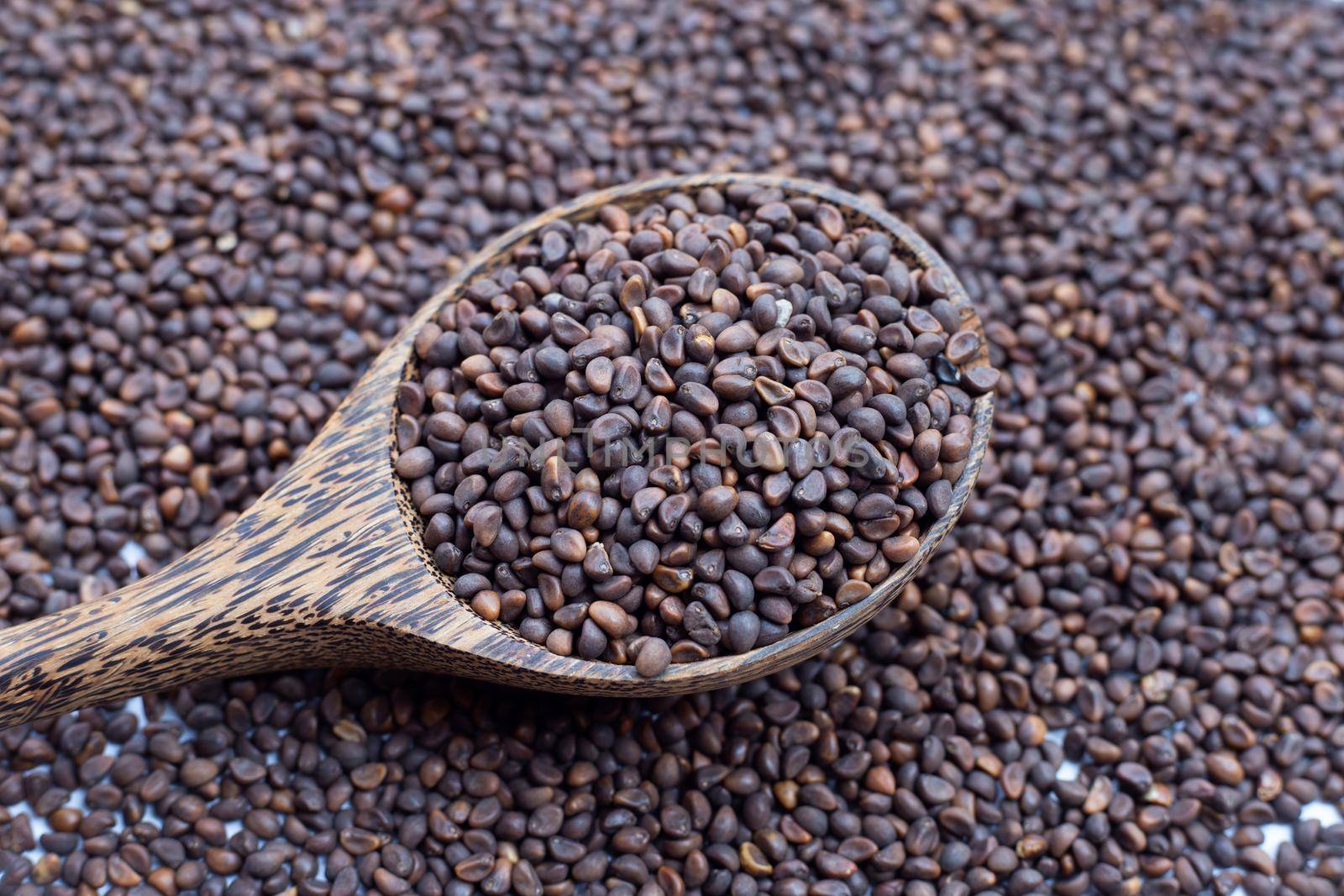 Black seed of morning glory