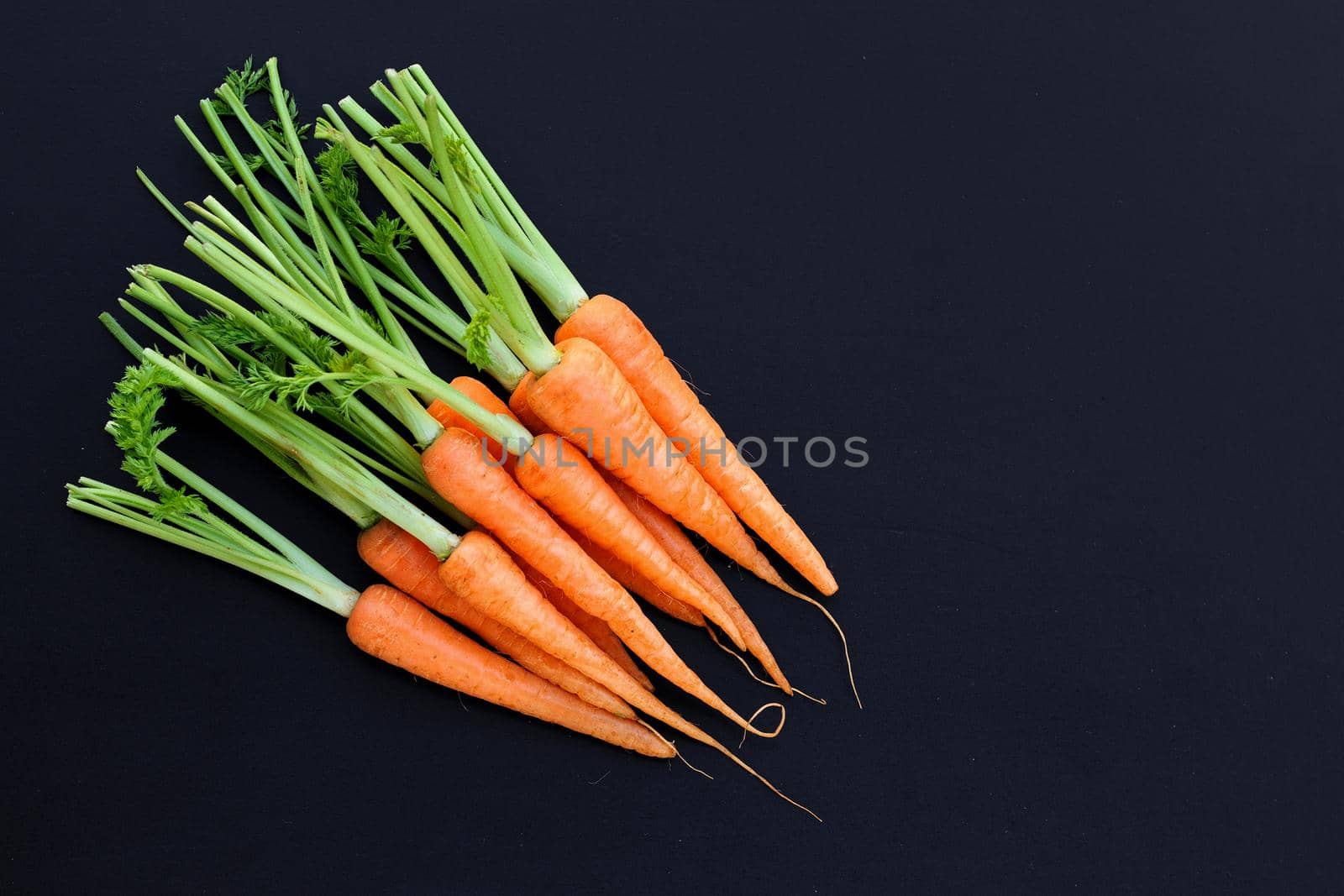 Fresh carrots on dark background.