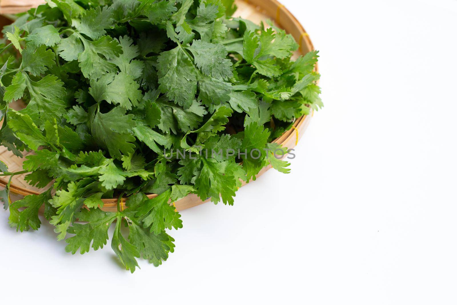 Fresh coriander on white background.