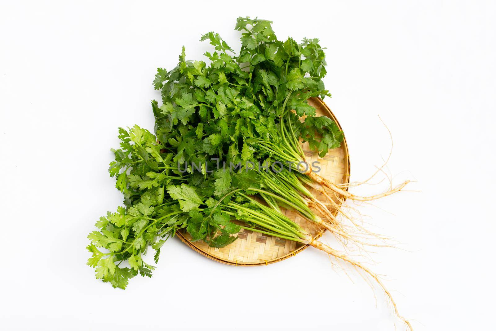 Fresh coriander on white background.