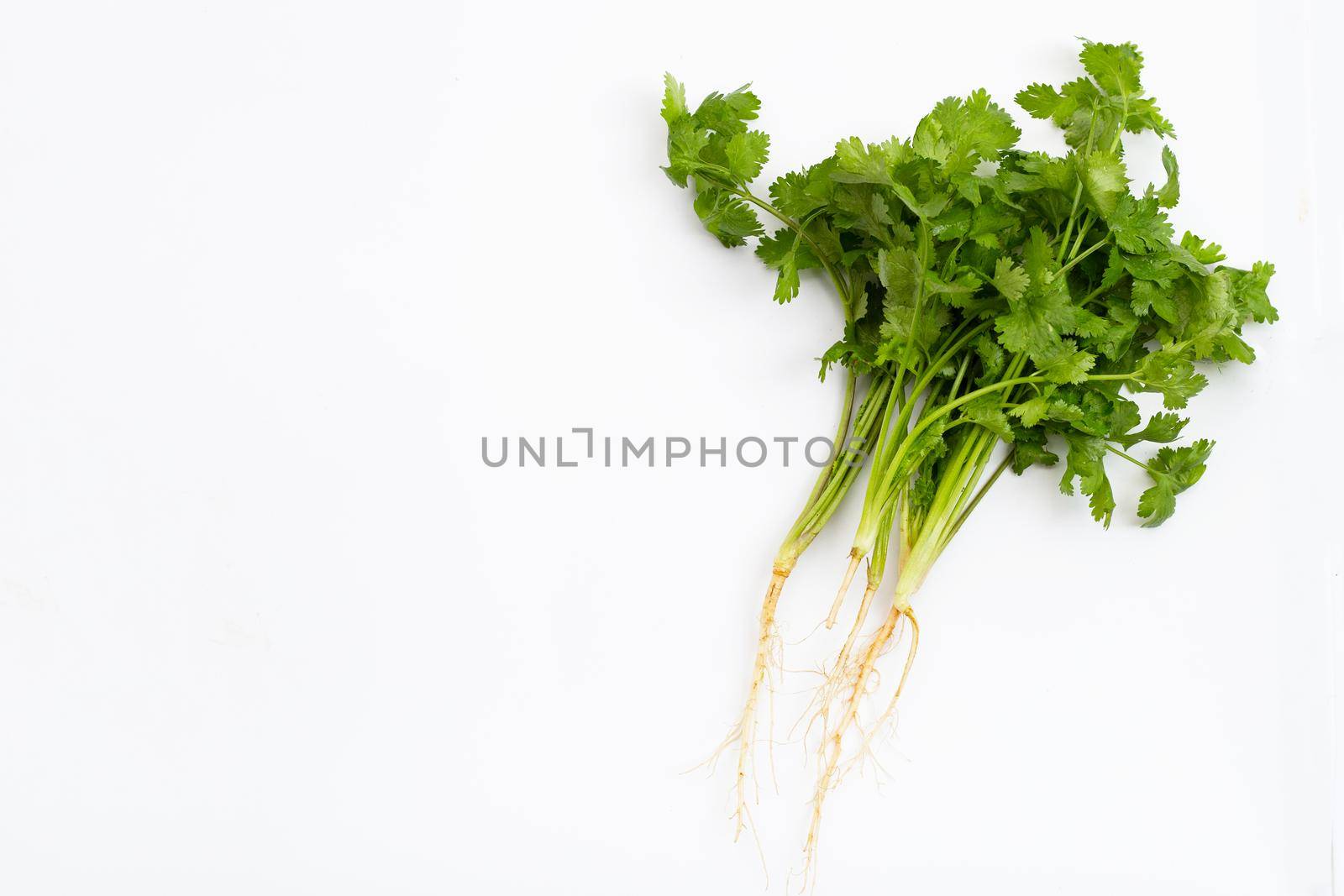Fresh coriander on white background.