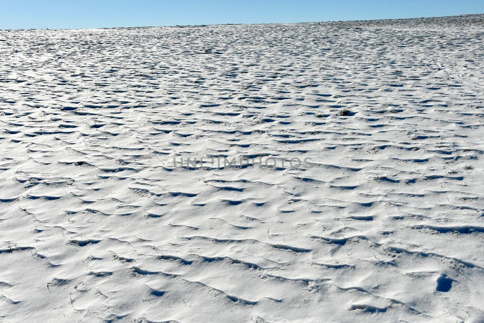 snow on a meadow with snowdrift and a blue sky by Jochen