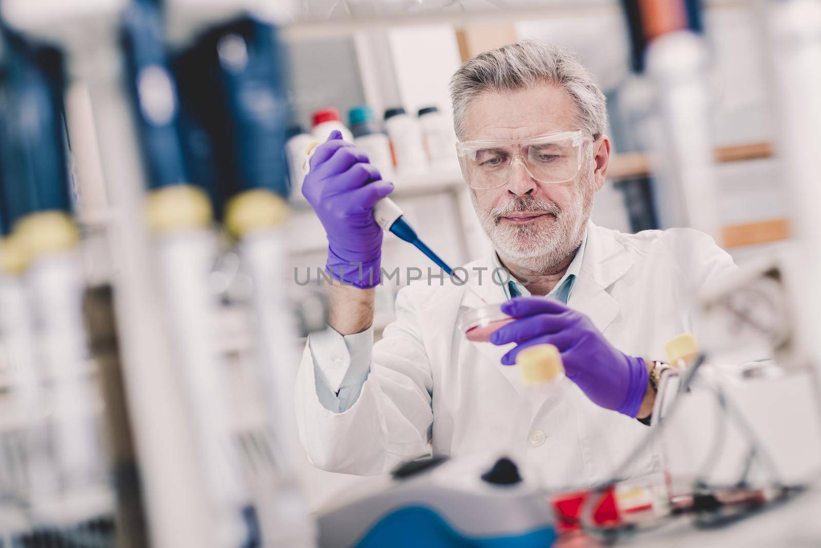 Life scientist researching in laboratory. Life sciences study living organisms on the level of microorganisms, viruses, human, animal and plant cells, genes, DNA...