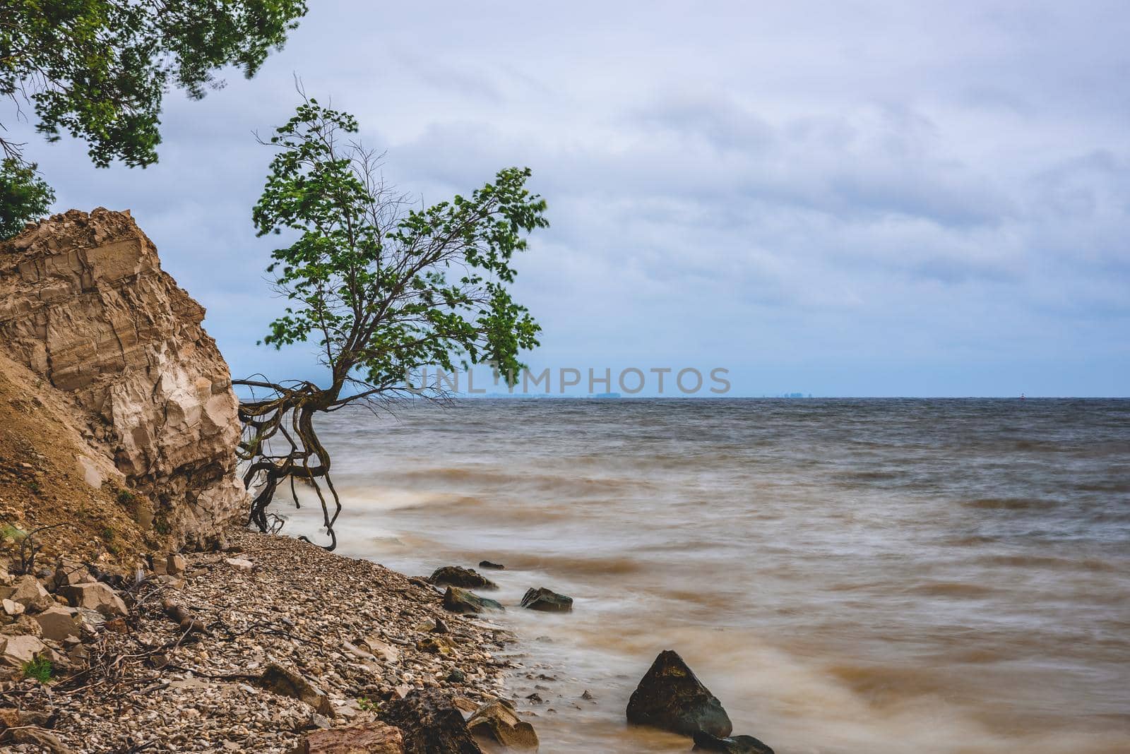 Tree on the rocky shore at stormy day by Seva_blsv