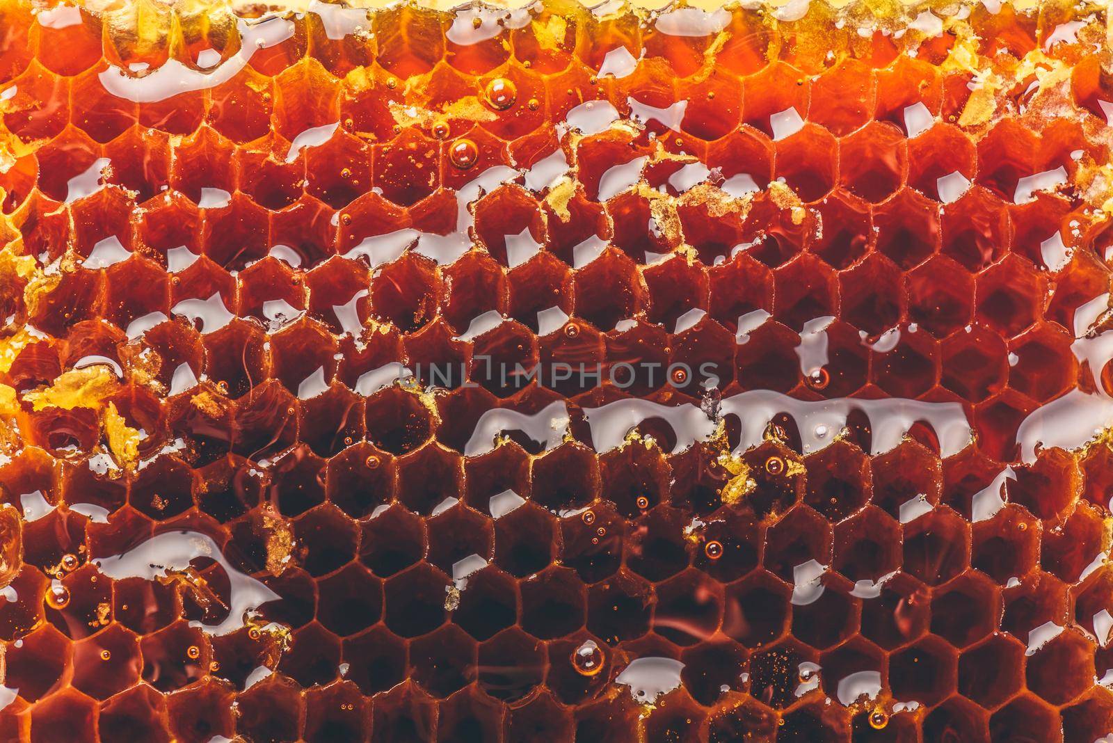 Macro of sweet golden honeycomb background. Copy space