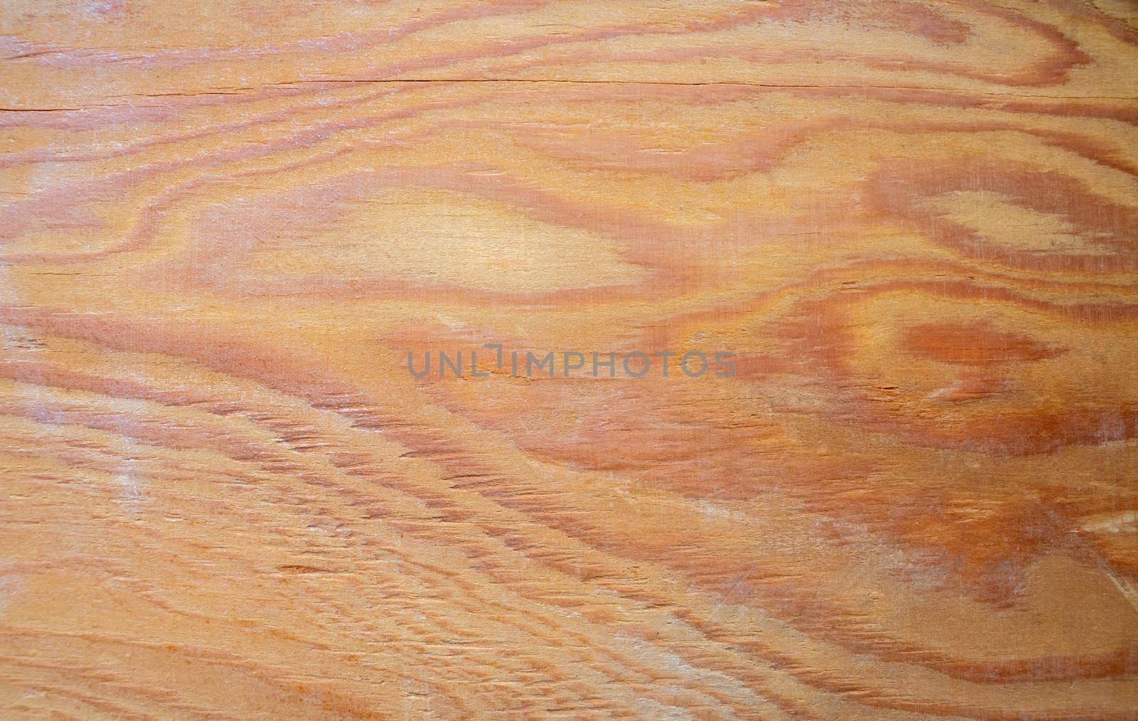 The texture of the wood. background surface with a natural pattern. Space for text.