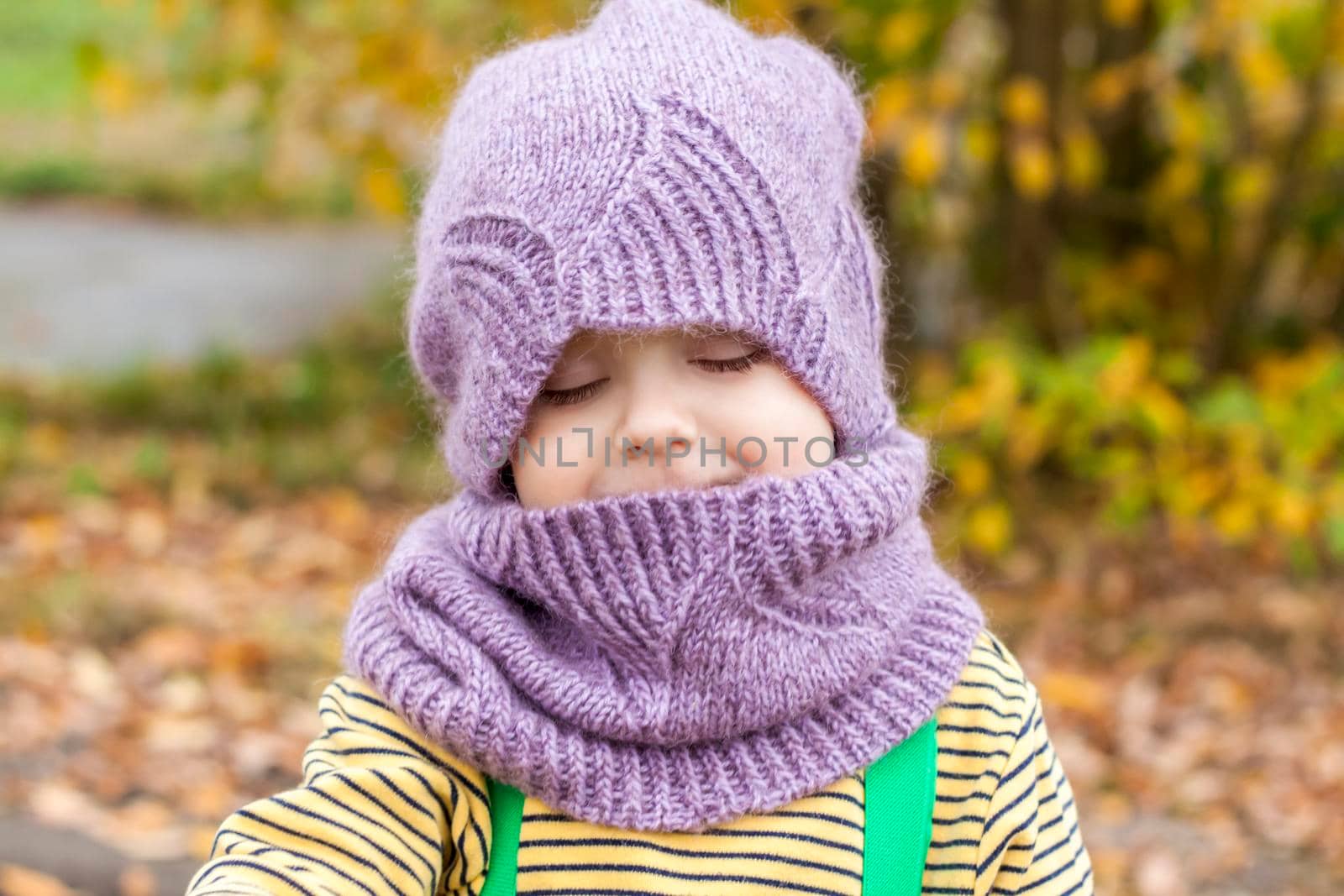 A child in a purple, knitted hat and scarf. Portrait of a child on the background of autumn trees. 