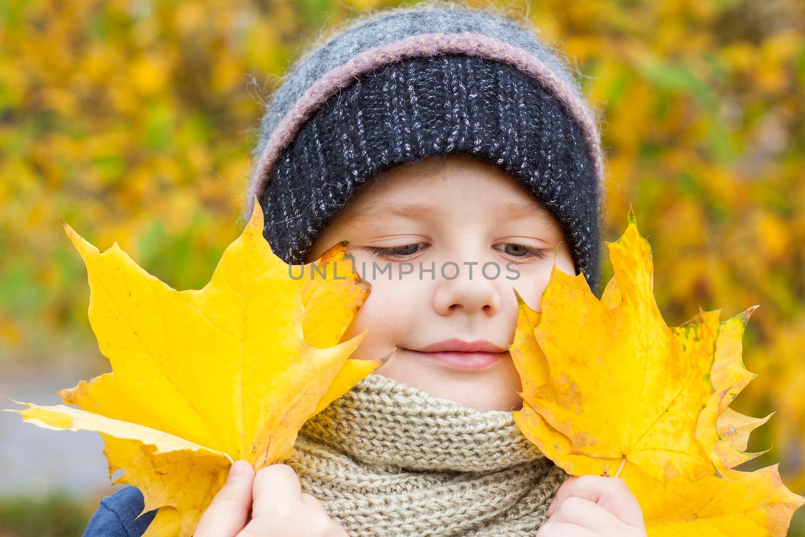 Autumn mood. The boy holds yellow maple leaves in his hands. Autumn portrait of a child in a knitted hat. Sight.