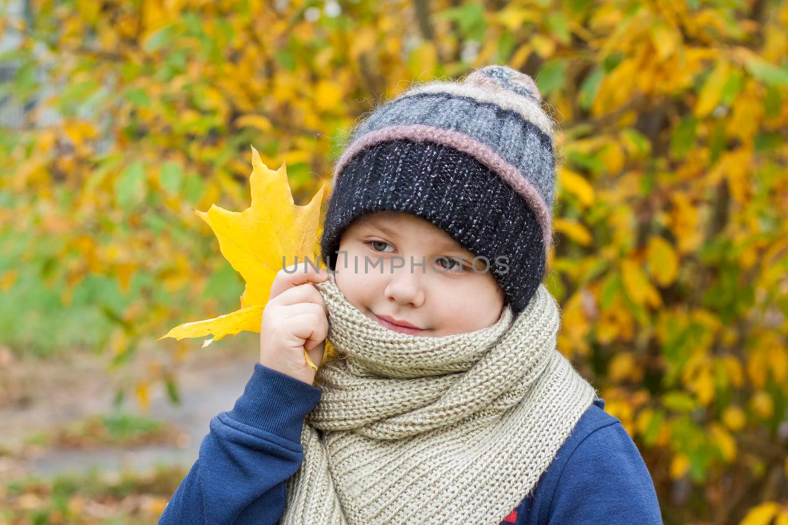 Autumn mood. The boy holds yellow maple leaves in his hands. Autumn portrait of a child in a knitted hat. Sight.