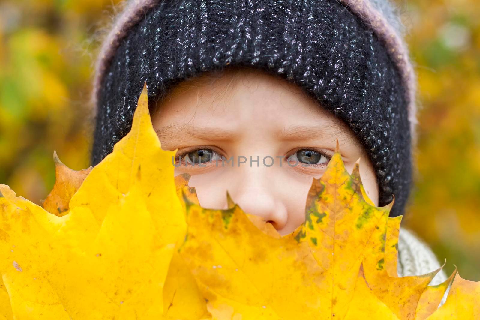 Autumn mood. The boy is holding yellow maple leaves that cover part of his face so that only his eyes are visible. Autumn portrait of a child in a knitted hat. Sight.