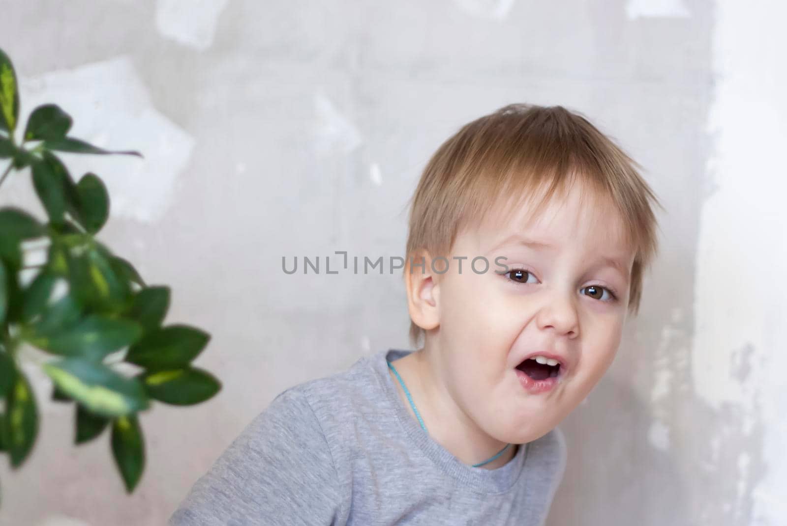 Portrait of a cute little boy. A child with a bright emotion on his face. Success, bright idea, creative ideas. The concept of an advertising banner.