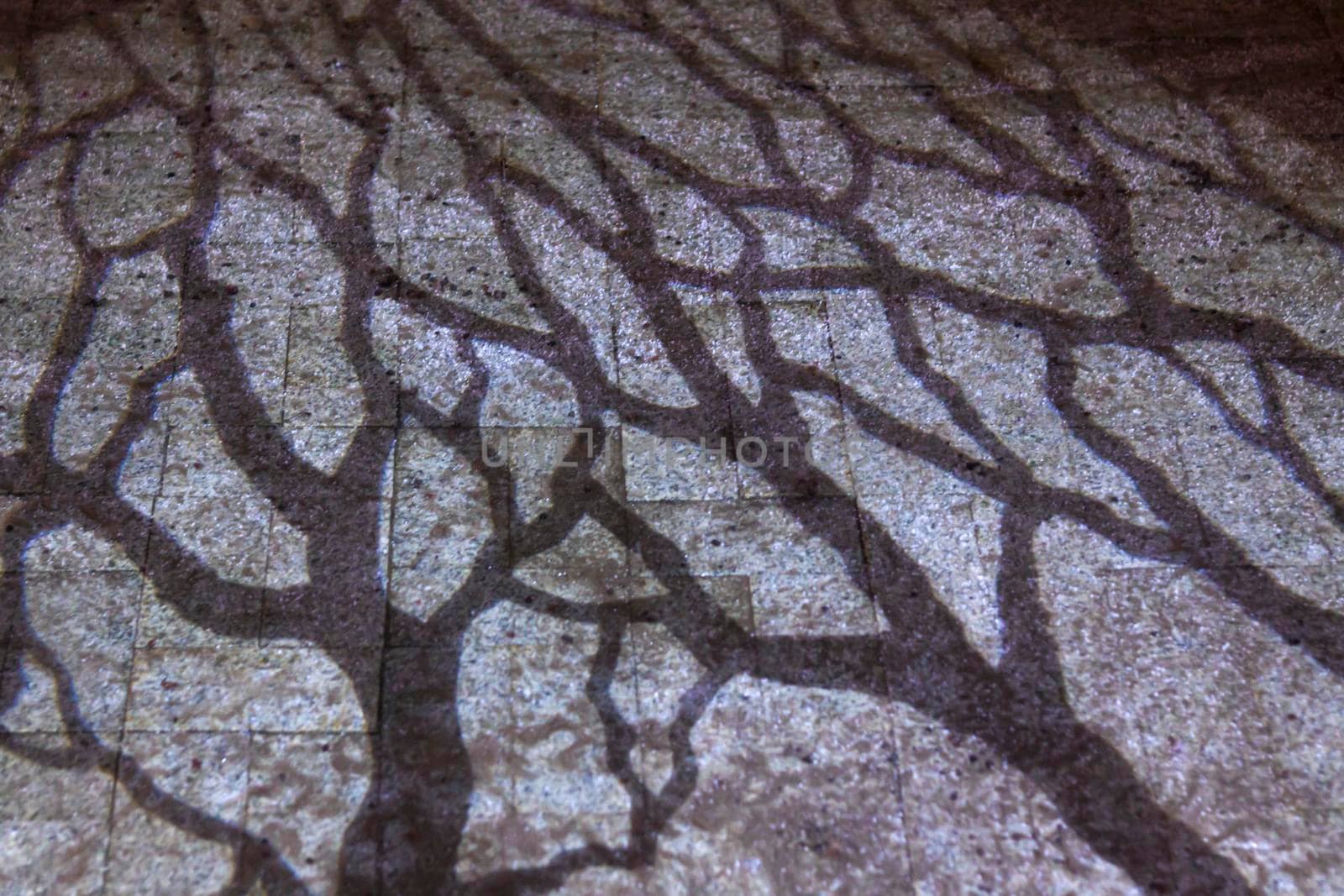A game of shadows. Shadows on the snow in the form of patterns. Background of shadows